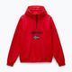 Férfi Napapijri Burgee Half Zip Hooded 2.0 piros goji melegítőfelső 5