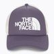 The North Face TNF Logo Trucker baseball sapka lila NF0A3FM3N141 4