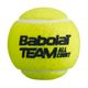 Teniszlabda készlet 4 db. BABOLAT Team All Court 4 sárga 502081 3