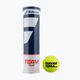 Teniszlabda készlet 4 db. BABOLAT Team Clay 4 sárga 502080