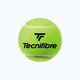 Teniszlabda készlet 4db. Tecnifibre Club Pet 4B sárga 60CLUB364N 2