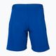 Férfi tenisz rövidnadrág Tecnifibre Stretch kék 23STRERO01 2