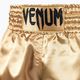 Férfi Venum Classic Muay Thai rövidnadrág fekete és arany 03813-449 4