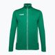 Capelli Basics Adult Training zöld/fehér férfi futball melegítő pulóver