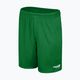 Capelli Sport Cs One Youth Match zöld/fehér gyermek focis nadrág 4