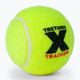 Tretorn X-Trainer teniszlabdák 72db sárga 3T44 474235 3