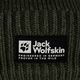 Jack Wolfskin Playn Logo Beanie téli sapka island moha 4
