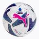 PUMA Orbit Serie A FIFA Quality Pro Football 083999 01 méret 5