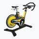 Indoor Cycle Horizon Fitness GR7 100913 2
