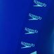 Női fürdőruházat Speedo Boom Logo Splice Muscleback G008 kék 12900G008 3