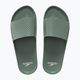 Férfi papucs  Speedo Slide Entry khaki 8