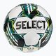 SELECT Match DB FIFA Basic v23 fehér/zöld labdarúgó méret 4
