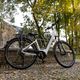 Elektromos kerékpár Ecobike LX300 LG fehér 1010306 19
