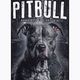 Férfi Pitbull West Coast kapucnis Street King pulóver fekete 5