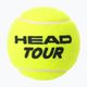 HEAD Tour teniszlabdák 4 db. 2
