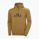 Férfi pulóver Helly Hansen Nord Graphic Pull Over Hoodie lynx 5