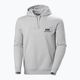 Férfi Helly Hansen Nord Graphic Pull Over Hoodie szürke melange 2