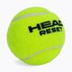 HEAD Reset Polybag teniszlabdák 72 db zöld 575030 3