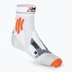 Férfi X-Socks Marathon Energy 4.0 futó zokni arctic white/trick orange 2