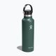 Hydro Flask Standard Flex Straw termikus palack 620 ml fenyő 2