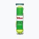 Gyermek teniszlabda szett Wilson Starter Play Green 4 db sárga WRT137400 2