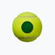 Gyermek teniszlabda szett Wilson Starter Play Green 4 db sárga WRT137400 4