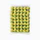 Wilson Starter Orange Tball gyermek teniszlabda készlet 48 db sárga WRT13730B