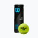 Wilson Tour Premier All Ct teniszlabda szett 3 db sárga WRT109400