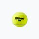 Wilson Tour Premier All Ct teniszlabda szett 3 db sárga WRT109400 3