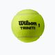 Teniszlabda készlet 4db. Wilson Triniti Tball 4 labdás doboz sárga WRT115200+ 2