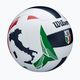 Wilson Italian League VB Official Gameball röplabda 5 méret 2