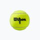 Wilson Roland Garros Clay Ct teniszlabda szett 3 db sárga WRT125000 3