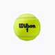 Wilson Roland Garros Clay Ct teniszlabda szett 4 db sárga WRT115000 3