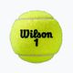 Wilson Roland Garros All CT teniszlabda 4 db. sárga 5