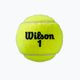 Wilson Roland Garros All Ct 4 Ball teniszlabda 2Pk 8 db sárga WRT116402 4