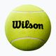 Wilson Roland Garros Mini Jumbo 5" sárga, autogramos teniszlabda