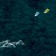 Kite szörf DUOTONE Evo SLS 2022 zöld 44220-3013 6
