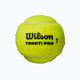Wilson Triniti Pro Tball teniszlabda 4 db sárga WR8204801001 2