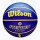 Wilson NBA Player Icon Outdoor Curry kosárlabda WZ4006101XB7 méret 7