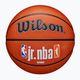 Gyermek kosárlabda Wilson NBA JR Fam Logo Authentic Outdoor barna 5. méret