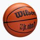 Gyermek kosárlabda Wilson NBA JR Drv Fam Logo barna 4-es méret 2