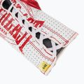 Boxkesztyű Everlast Fight Leather red 6