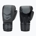 Boxkesztyű Everlast Prospect 2 black 3