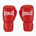 Boxkesztyű Everlast Amateur Competition H&L red 2