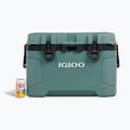 Igloo Trailmate 52 Roller túrahűtő 49 l lucfenyő/obszidián szürke 15