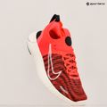 Női futócipő Nike Free RN NN aster pink/hot punch/light iron ore/black 9