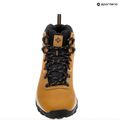 Férfi trekking cipő Columbia Newton Ridge Plus II Wp elk/black 18