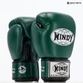WINDY Classic valódi bőr zöld bokszkesztyű 8