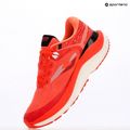 Férfi futócipő Joma Fenix coral 7