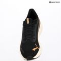 PUMA Pounce Lite futócipő puma arany/puma fekete 11